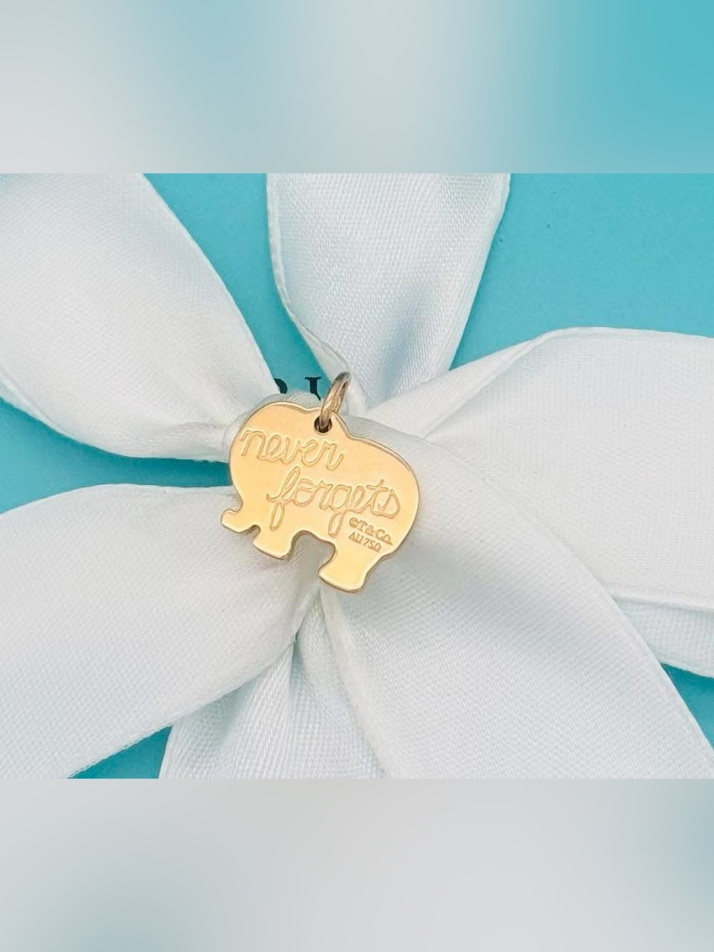 Tiffany & Co.
Elephant Never Forgets” Rose Gold Charm - Picture 7 of 8